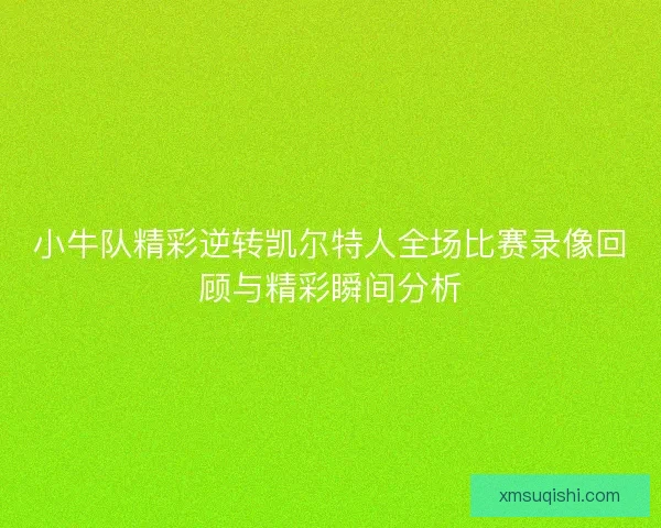 小牛队精彩逆转凯尔特人全场比赛录像回顾与精彩瞬间分析